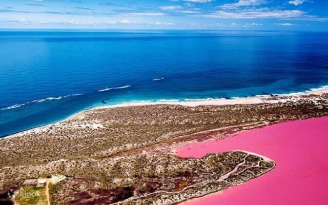 Hutt Lagoon nổi bật với màu nước hồng độc đáo, là điểm check-in ấn tượng tại Western Australia, Úc.