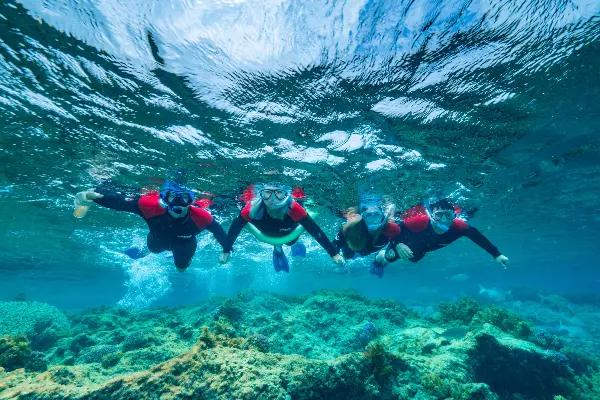 Trải nghiệm lặn biển ngắm san hô tại đảo Rottnest trong tour Perth 5 ngày 4 đêm với làn nước trong xanh và hệ sinh thái biển phong phú