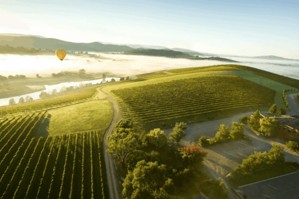 Yarra Valley vineyard landscape with wine tasting and chocolate experience in Victoria Australia